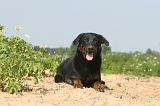 BEAUCERON 046